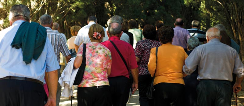 Older people walking in a park, Senior Adult, Crowd, Old, Walking, Tourist