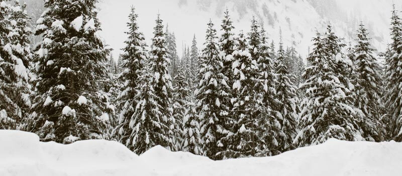 Weihnachtszeit, erzgebirge, Scheibenberg, verschneit, schnee, schneebedeckt, Weihnachtsprogramm, Kaffeetrinken, Vorweihnachtszeit, Adventszeit