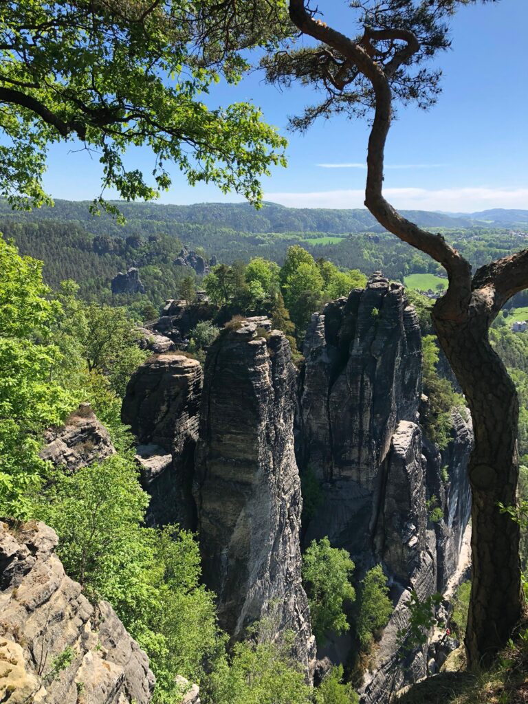 motion_photo_7757160291578821751